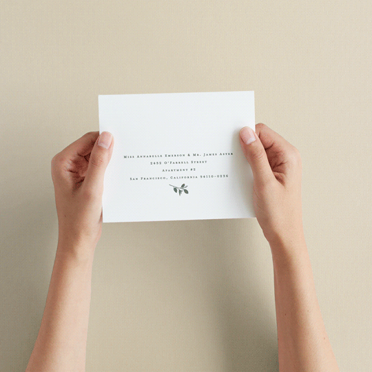 "Falling Branch" - Savvy Wedding Invitations in Eucalyptus by Amy Kross - How it works