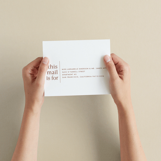 "There Will Be a Party" - Savvy Wedding Invitations in Terra Cotta by Amy Payne - How it works