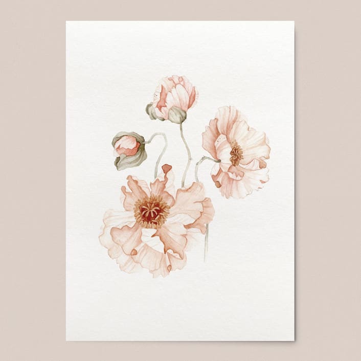 "Icelandic Poppies Flowers" - Limited Edition Fine Art Print in orange by Angele Kamp