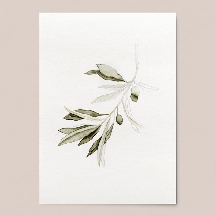 "Green Olive Branch" - Limited Edition Fine Art Print in green by Angele Kamp