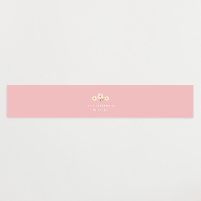 "Little Chick" - Baby Shower Belly Bands in Blush by Carolyn MacLaren - Front