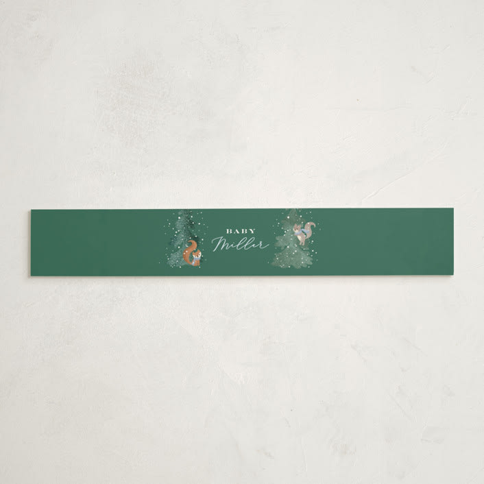 "Winter Wonderland" - Baby Shower Belly Bands in Sky by Jennifer Wick - Front