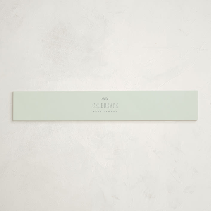 "Storybook Geese" - Baby Shower Belly Bands in Mint by Everett Paper Goods - Front