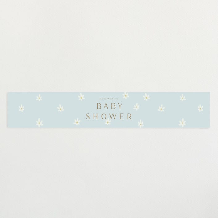 "Daisies" - Baby Shower Belly Bands in Baby Blue by Ani Somi - Front