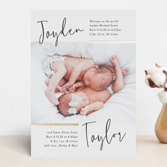 "Double the Love" - Birth Announcements in Silk by Pink House Press - Front