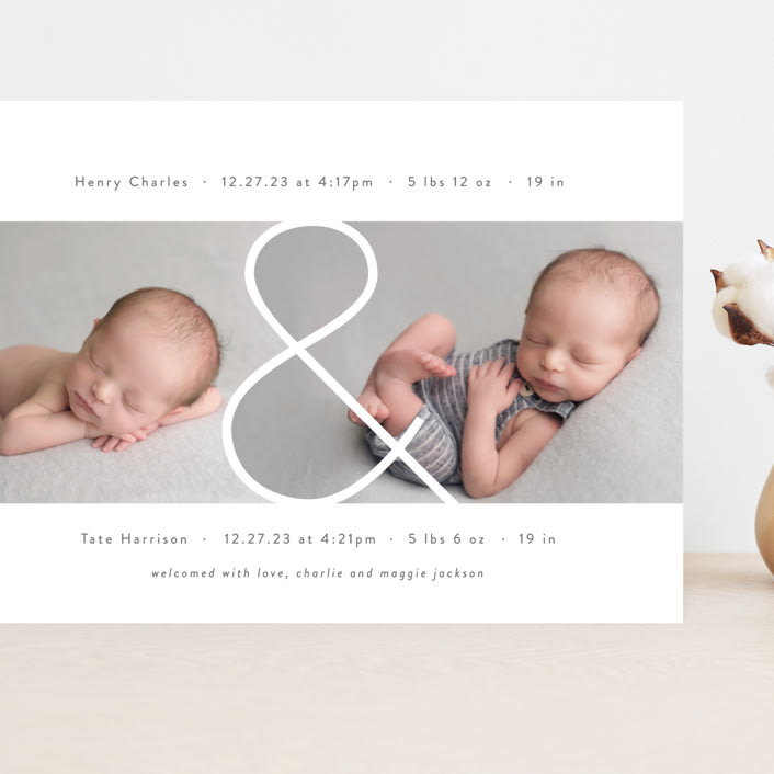 "Twin & Twin" - Birth Announcements in Snow by Lauren Chism - Front
