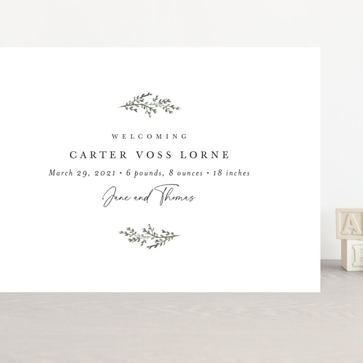 "Understated" - Birth Announcements in Lily by Sara Hicks Malone - Front