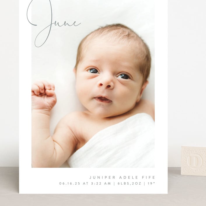 "Chic Introduction" - Birth Announcements in Storm by Olivia Raufman - Front