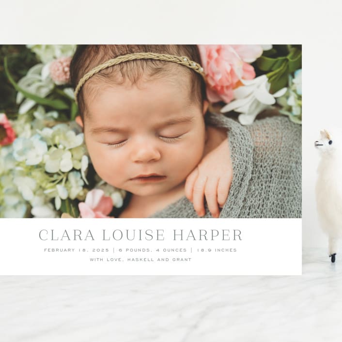 "Canvas" - Birth Announcements in Moon by Megan Davis - Front