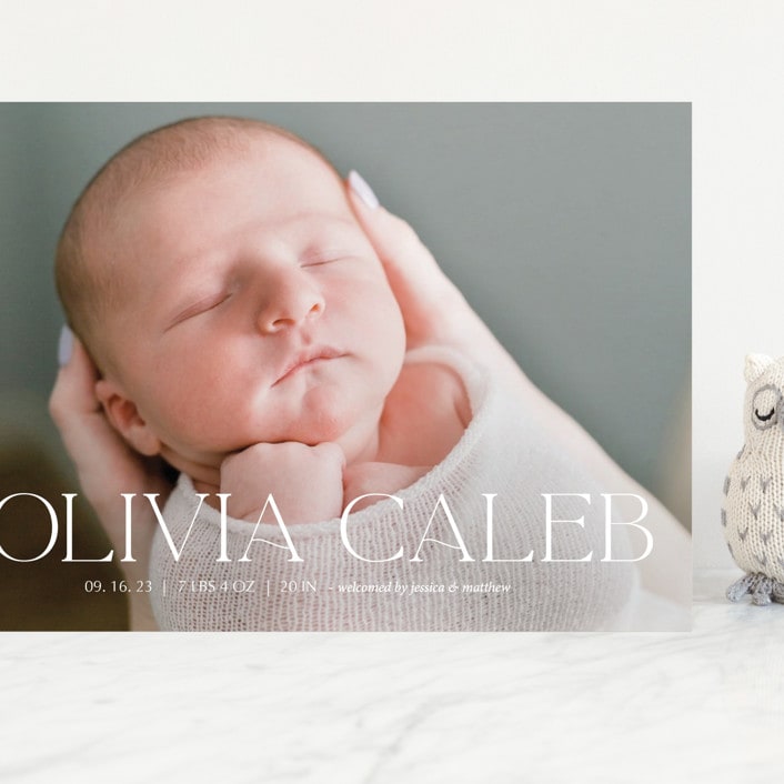 "Newest addition" - Birth Announcements in Snow by Elan Studio - Front