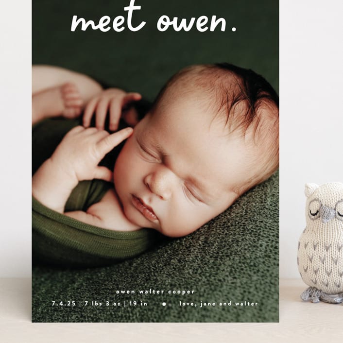 "Meet Cute" - Birth Announcements in Snow by Lauren Chism - Front