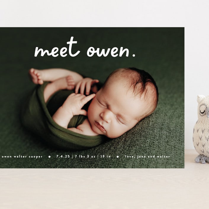 "Meet Cute" - Birth Announcements in Snow by Lauren Chism - Front