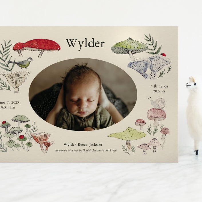"Woodland wonder" - Birth Announcements in Lichen by Bonnie Davis - Front