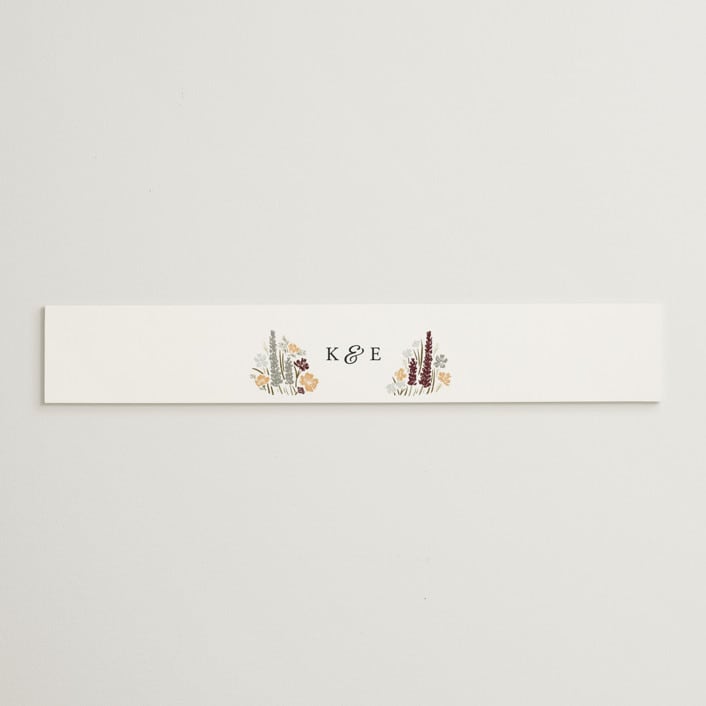 "Valley of the Moon" - Belly Bands in Sage by Shiny Penny Studio - Assembled with Invitation