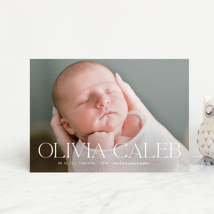 "Newest addition" - Birth Announcements in Snow by Elan Studio - Front