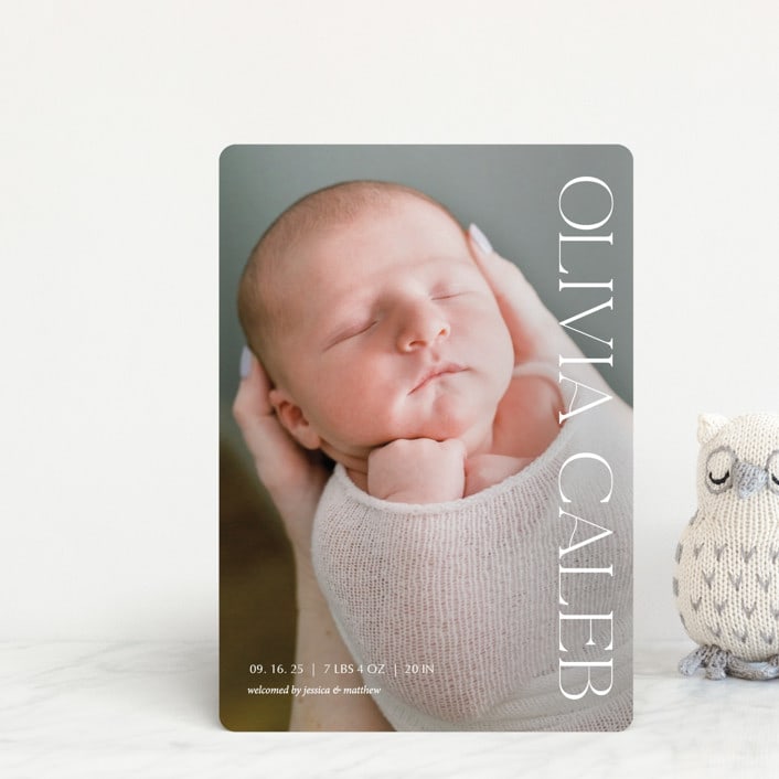 "Newest addition" - Birth Announcements in Snow by Elan Studio - Front