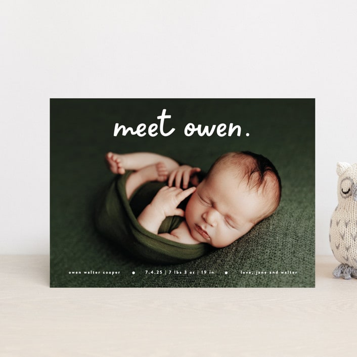 "Meet Cute" - Birth Announcements in Snow by Lauren Chism - Front