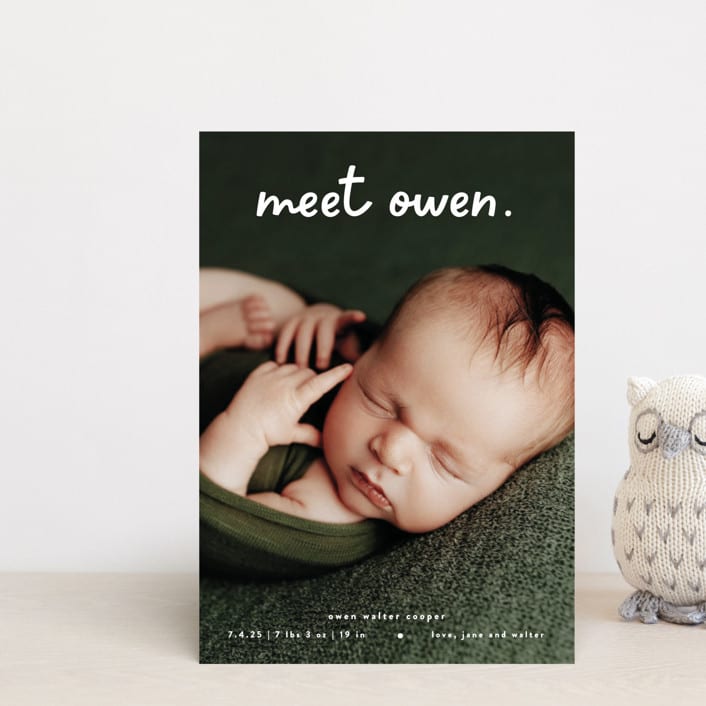 "Meet Cute" - Birth Announcements in Snow by Lauren Chism - Front