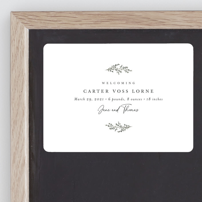 "Understated" - Birth Announcements in Lily by Sara Hicks Malone - Front