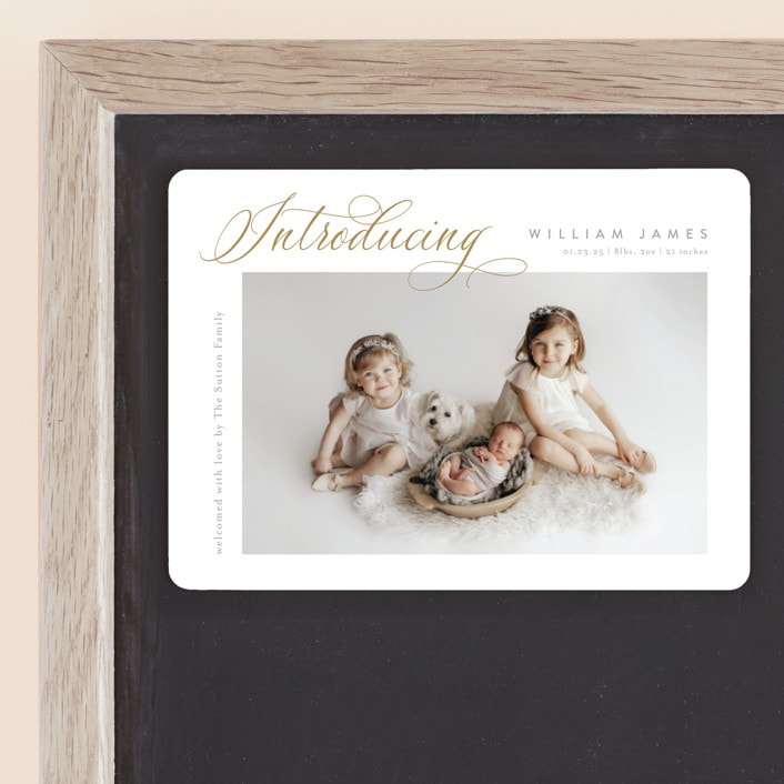 "Inspired Introduction" - Birth Announcements in Wheat by Carolyn MacLaren - Front