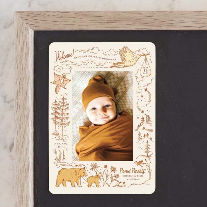 "Baby Bear" - Birth Announcements in Cream by Morgan Ramberg - Front