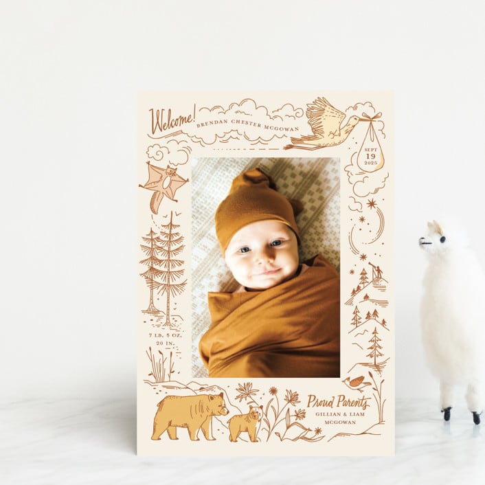 "Baby Bear" - Birth Announcements in Cream by Morgan Ramberg - Front