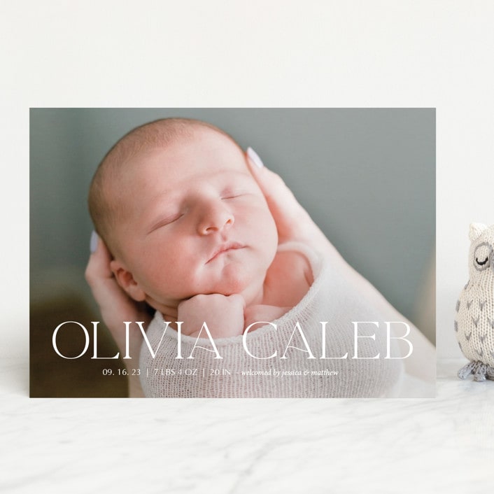 "Newest addition" - Birth Announcements in Snow by Elan Studio - Front