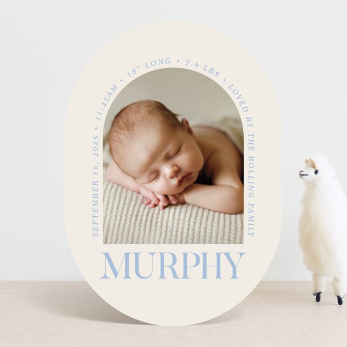 "Type Arch" - Birth Announcements in Bluebird Day by Baumbirdy - Front