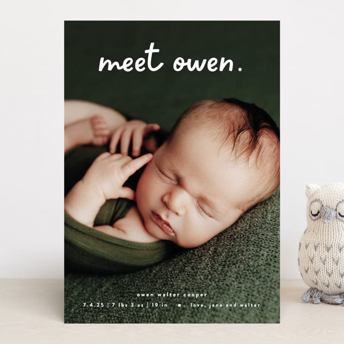 "Meet Cute" - Birth Announcements in Snow by Lauren Chism - Front