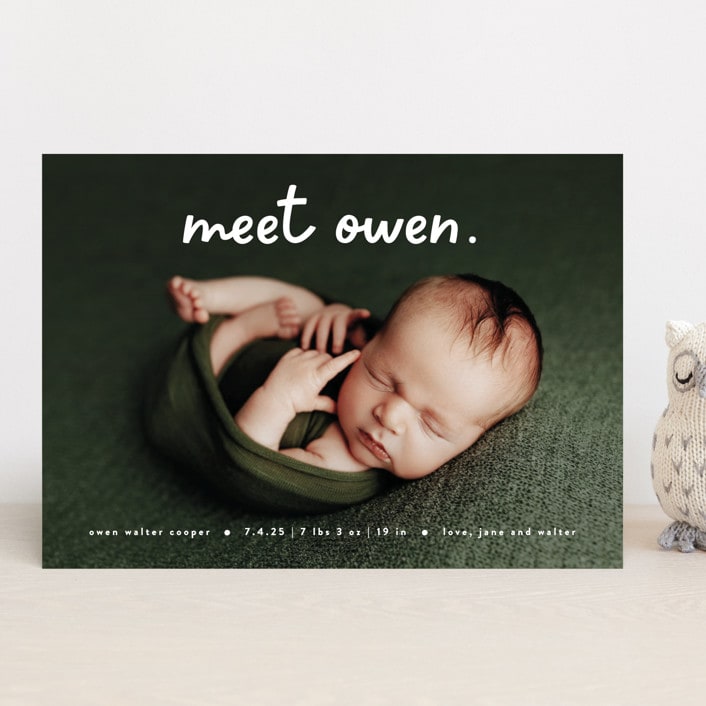 "Meet Cute" - Birth Announcements in Snow by Lauren Chism - Front