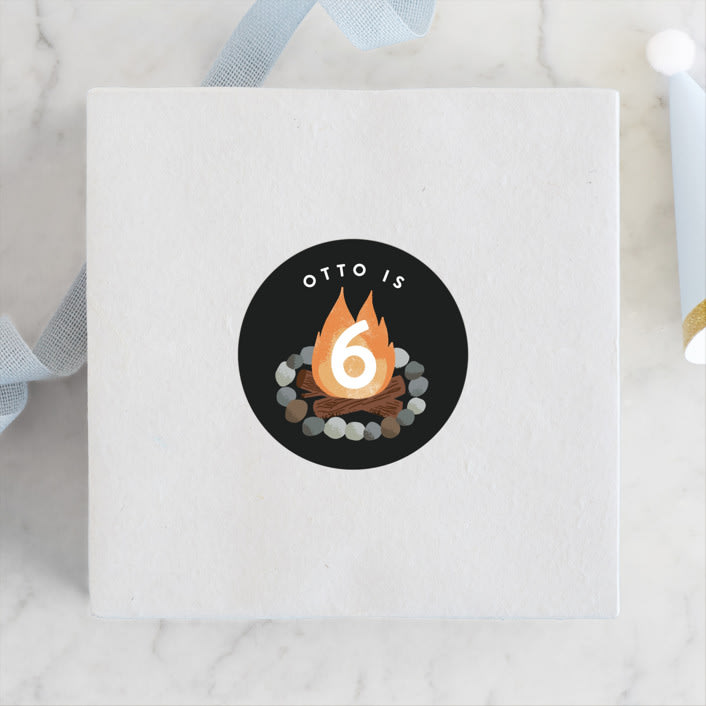 "Bonfire" - Children's Birthday Party Stickers in Onyx by Alethea and Ruth - Front