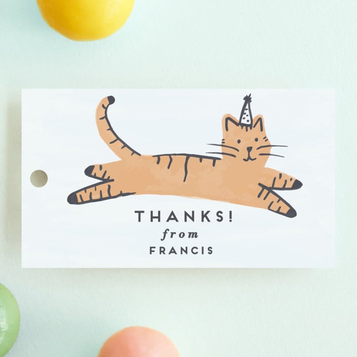 "Pawty Cat" - Children's Birthday Party Favor Tags in Apricot by Everett Paper Goods - Front