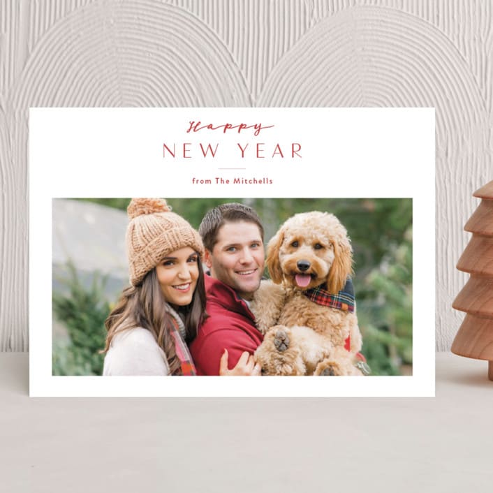 "Icing" - Holiday Cards in Holly Berry by Carolyn MacLaren - Front