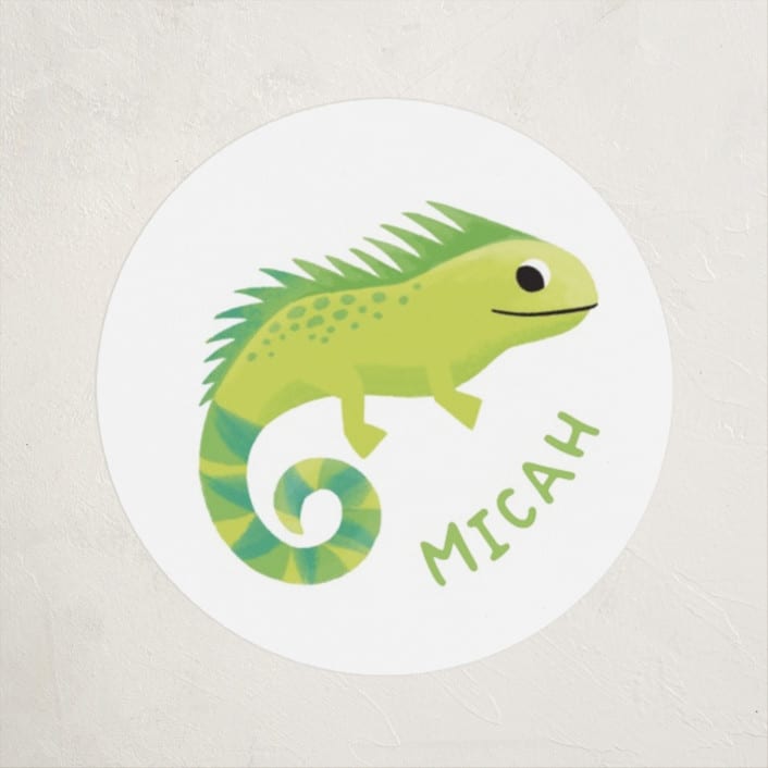 "Iguana Love" - Custom Stickers in Grass by Jessie Steury - Front