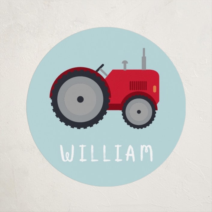 "loads of fun" - Custom Stickers in Massey Ferguson by Hudson meet Rose - Front