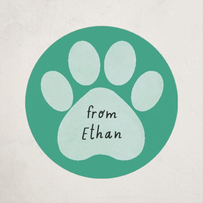 "Pawsitively Awesome" - Custom Stickers in Seafoam by Randi Cirelli - Front
