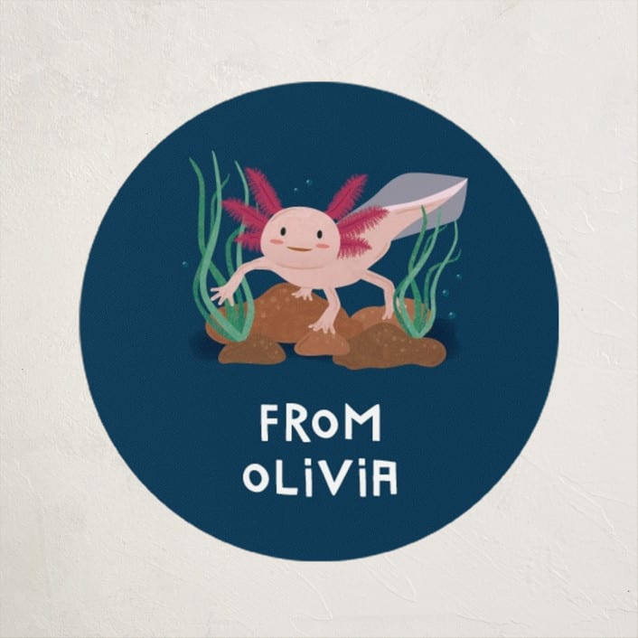 "A'Lotl" - Custom Stickers in Fresh Water by Erica Krystek - Front