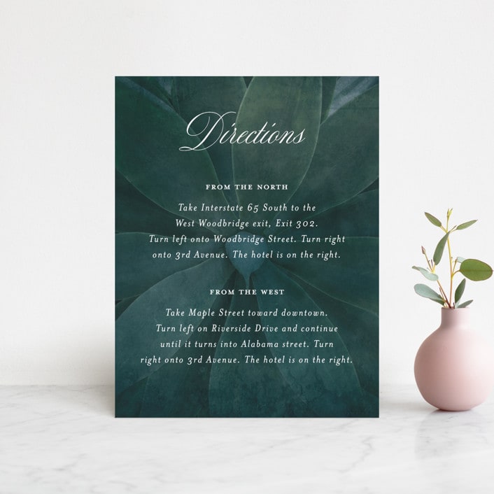 "Succulent Center" - Direction Cards in Cactus by Jessica Williams - Front