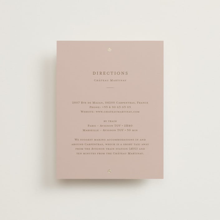 "French Train" - Direction Cards in Rose by Ani Somi - Front