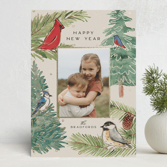 "Birds & Branches" - Holiday Cards in Cream by Amy Kross - Front