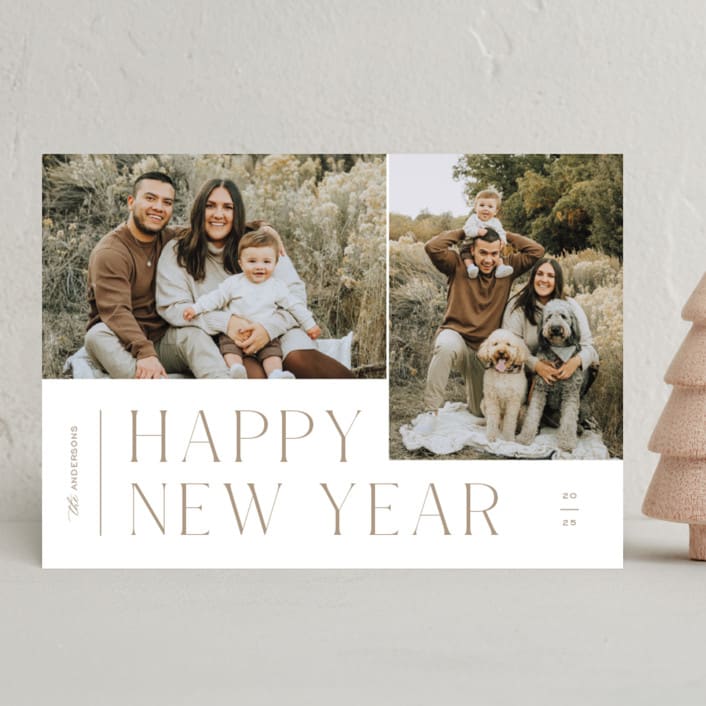 "Pair" - Holiday Cards in Cocoa by Pixel and Hank - Front