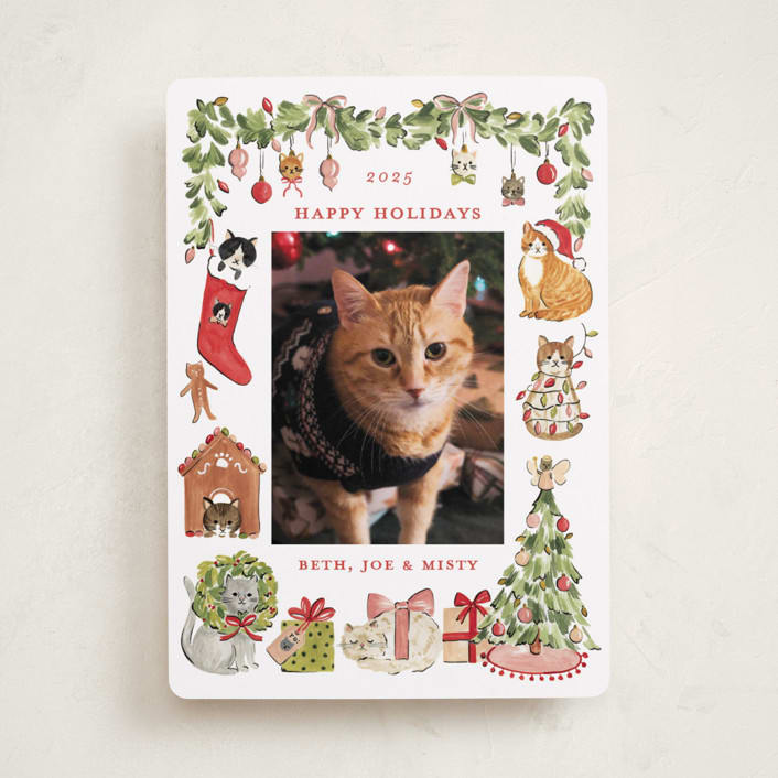 "Meowy Christmas" - Holiday Cards in Pine by Sarah Knight - Front