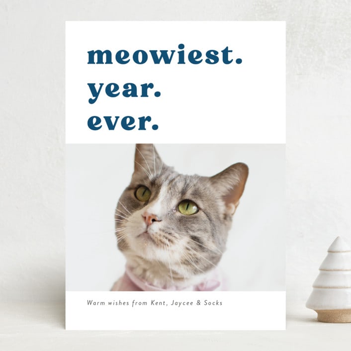 "be meowy" - Holiday Cards in Holy Knight by Deborah Chou - Front