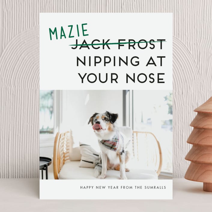 "Not Jack Frost" - Holiday Cards in Evergreen by Akweley Creative - Front