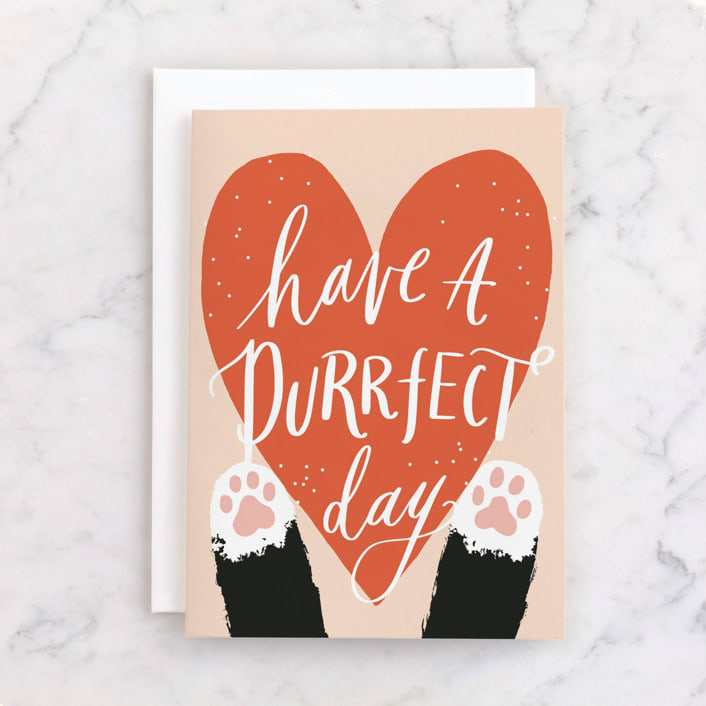 "Pawsitively Purrfect" - Single Greeting Cards in Papaya by Everett Paper Goods - Front