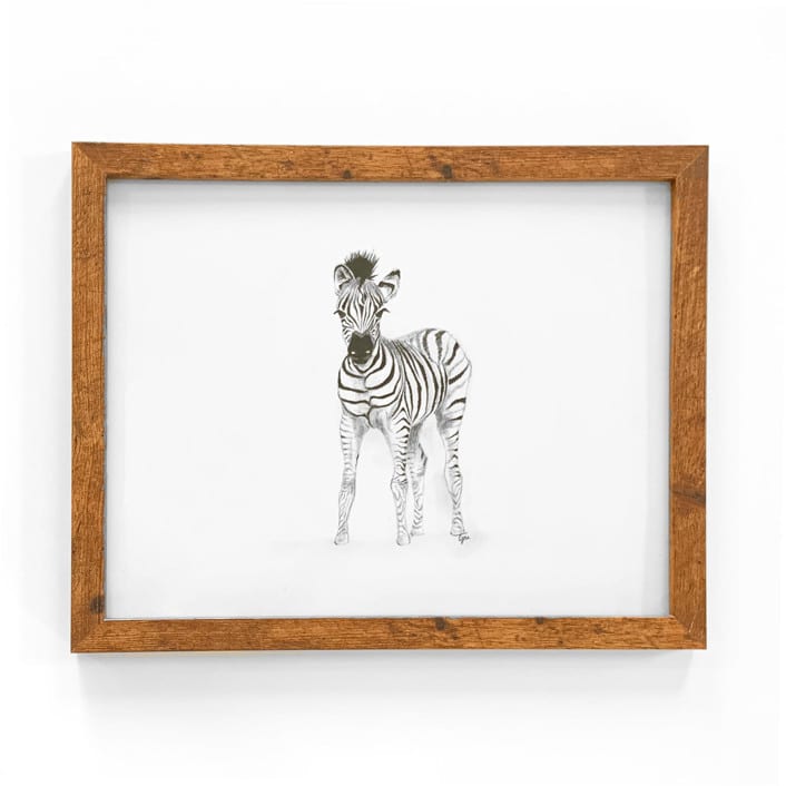 "Zebra" - Original Drawings in brown by Teju Reval
