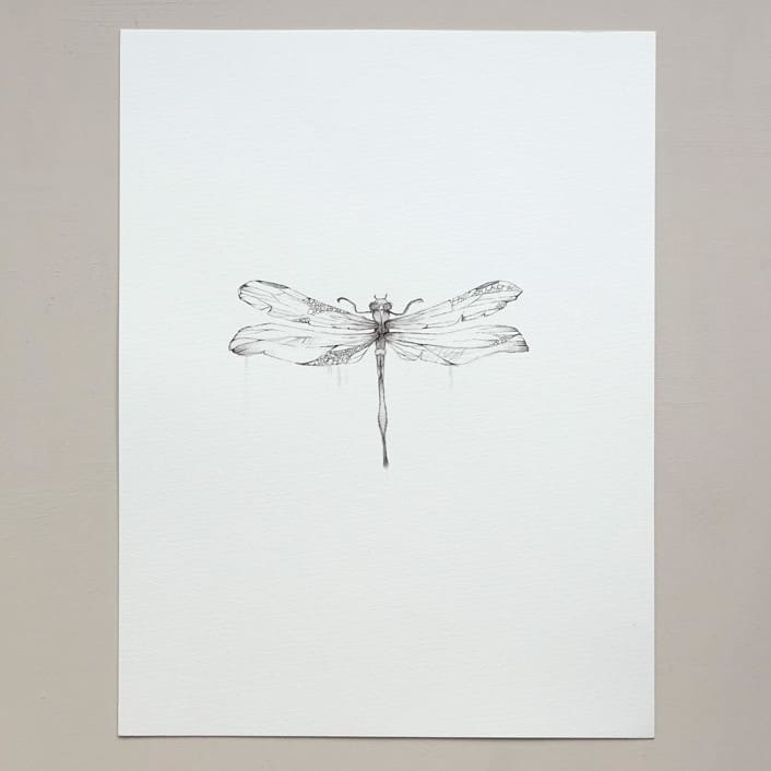 "Dragonfly" - Original Drawings in black by Angele Kamp