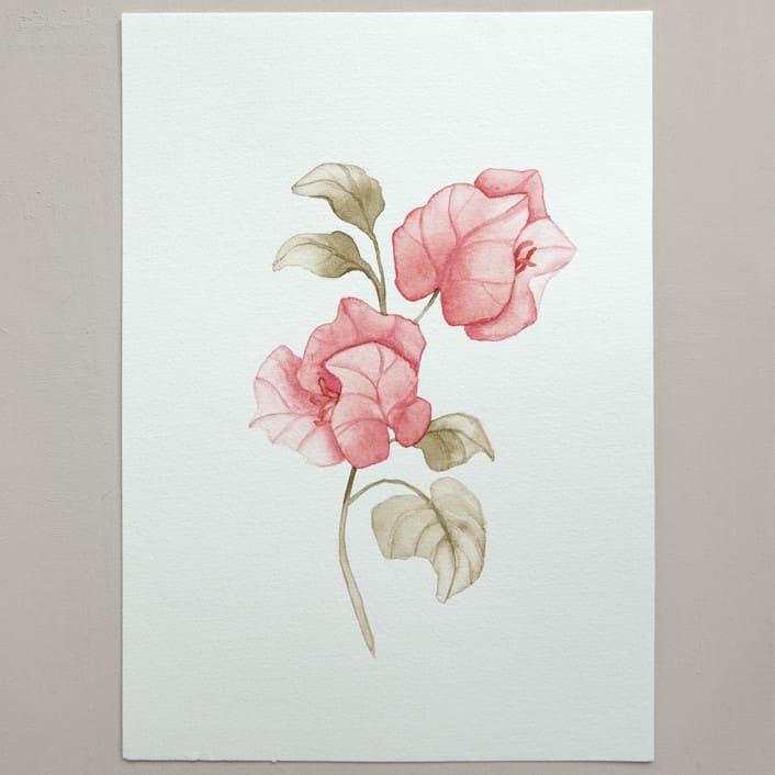 "Bougainvillea flowers watercolor painting" - Original Painting in pink by Angele Kamp