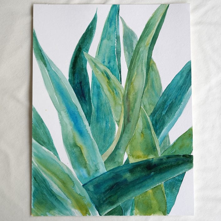 "Watercolor agave original painting" - Original Painting in multicolor by Alexandra Dzh