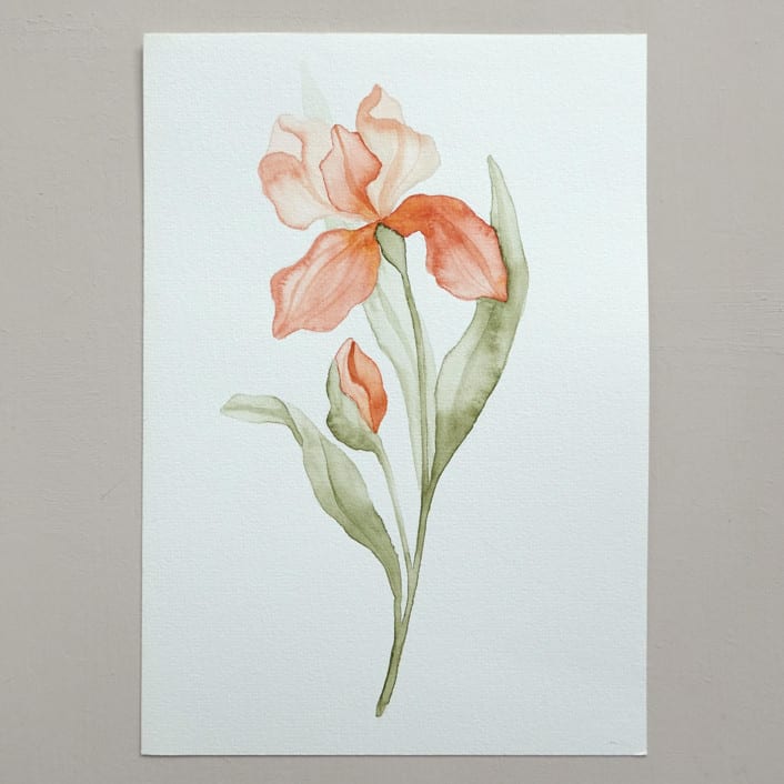 "Orange orchid" - Original Painting in orange by Angele Kamp